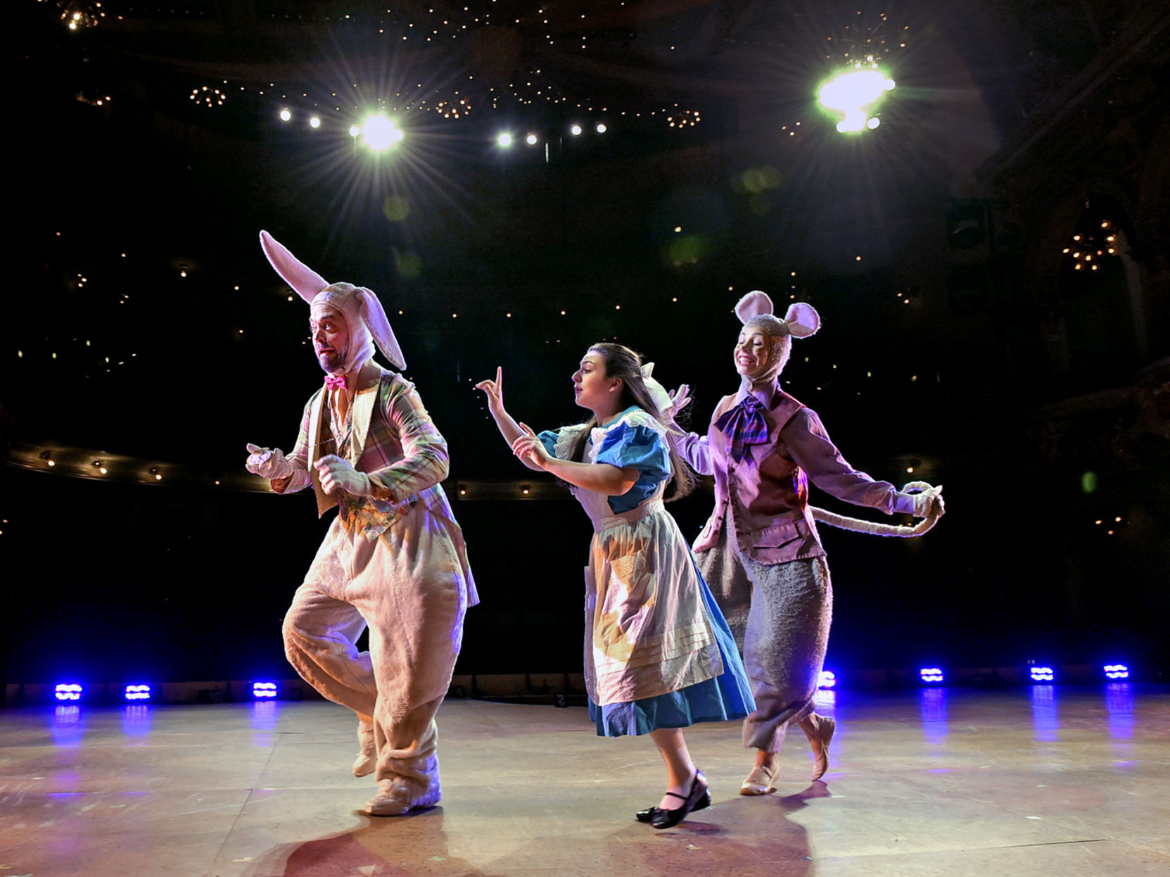 alice in wonderland24.jpg